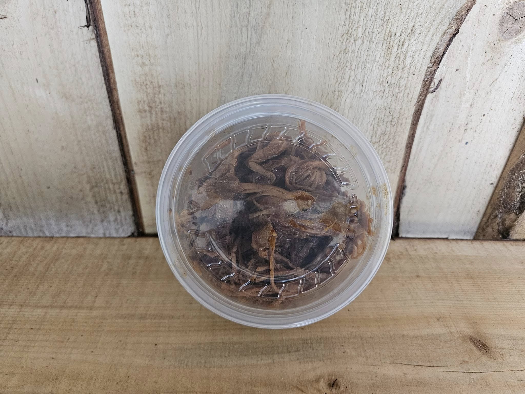 No photo description available.